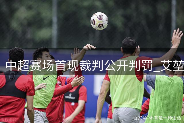中超赛场首现裁判公开判罚 艾堃创下历史先例
