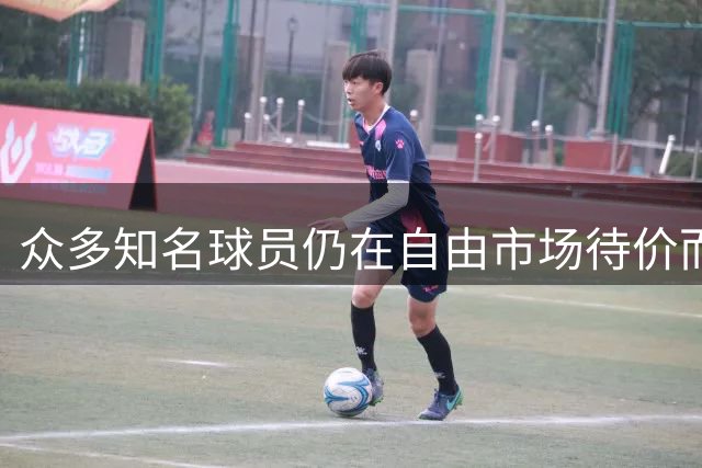 众多知名球员仍在自由市场待价而沽